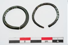 Foto von Bronzering (NHMW-PRAE-024296)